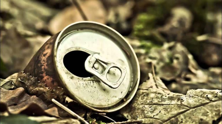 Geen truc of oplichterij: een Spanjaard brengt de hele zomer door met het verzamelen van blikjes in IJsland om ze te recyclen en dit bedrag te verdienen
